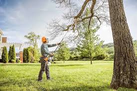 Best Tree Health Inspection  in Chubbuck, ID
