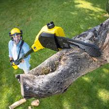 Best Soil Testing and Treatment  in Chubbuck, ID