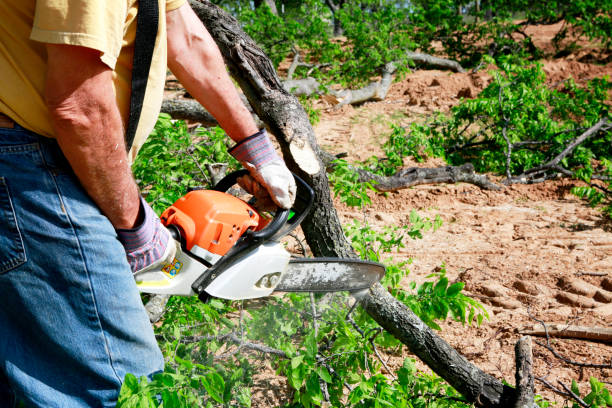 Best Lawn Drainage Solutions  in Chubbuck, ID